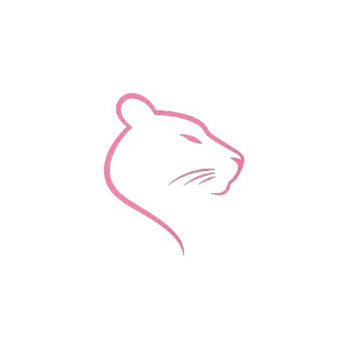 PinkWatches